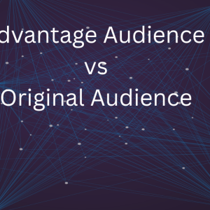 Advantage Audience vs Original Audience Advantage Audience vs Original Audience